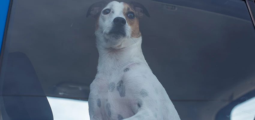 Car Lockout Solutions in Lindsay, California